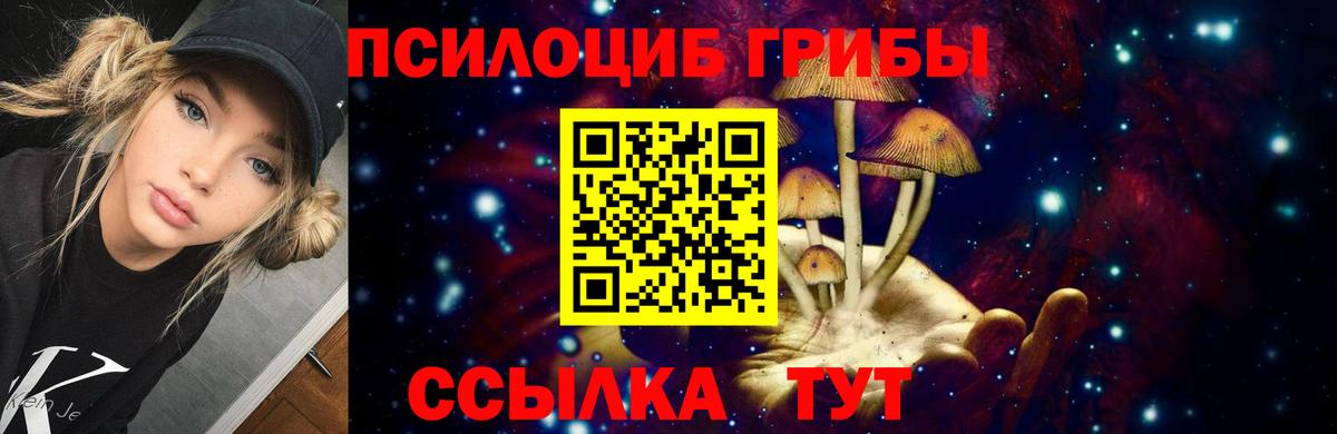 Дюртюли  Галлюциногенные грибы Psilocybine cubensis  Вход с VPN 